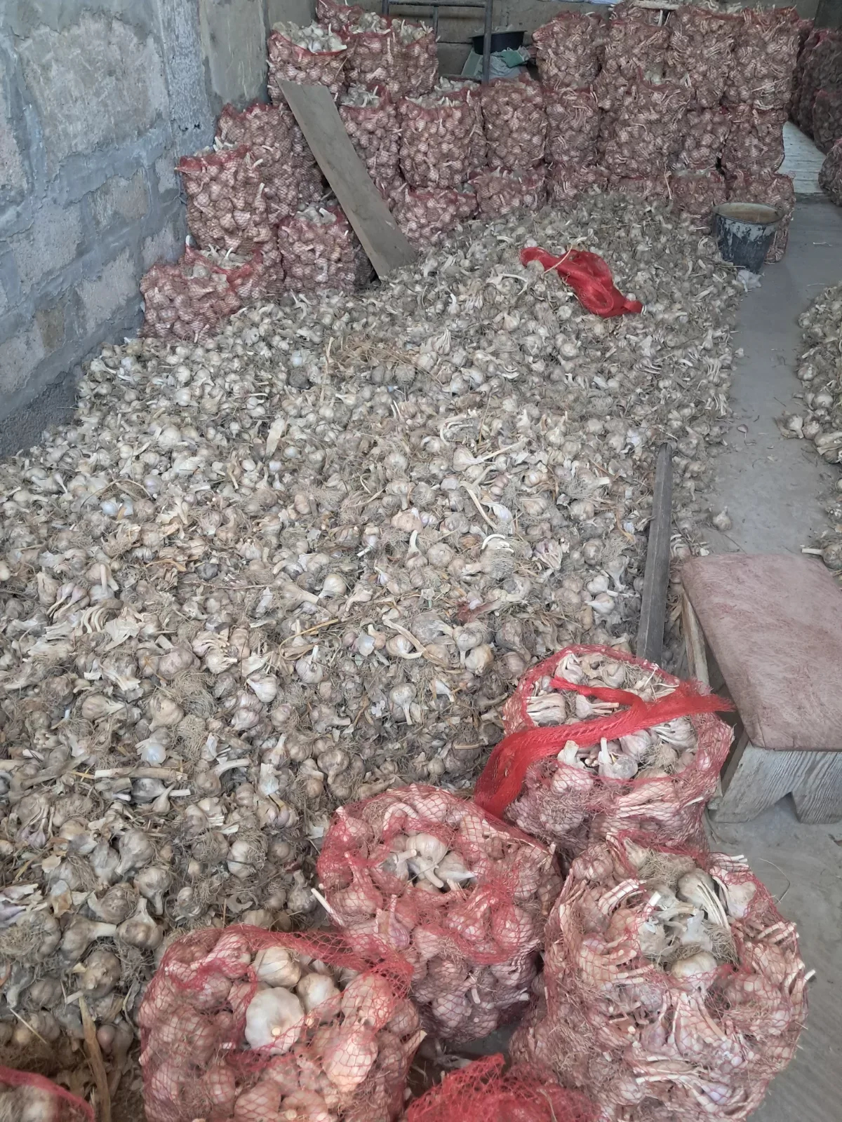 Վաճառվում է սխտոր