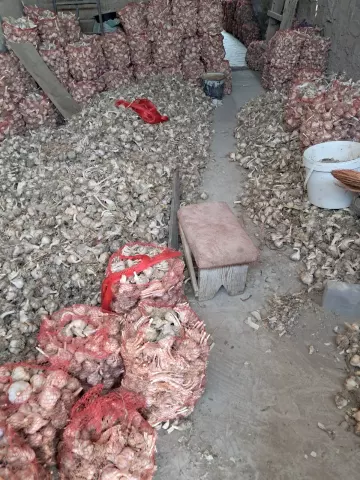 Վաճառվում է սխտոր